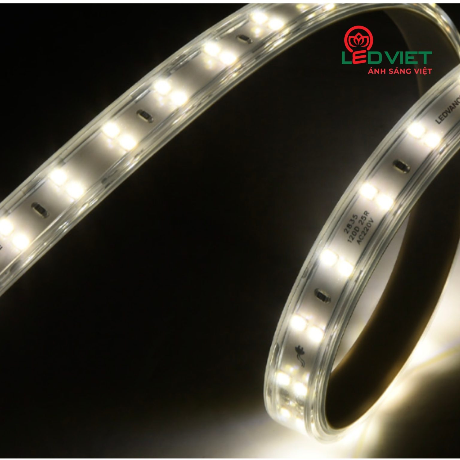 Đèn LED dây OSRAM LDHV 120D 12W