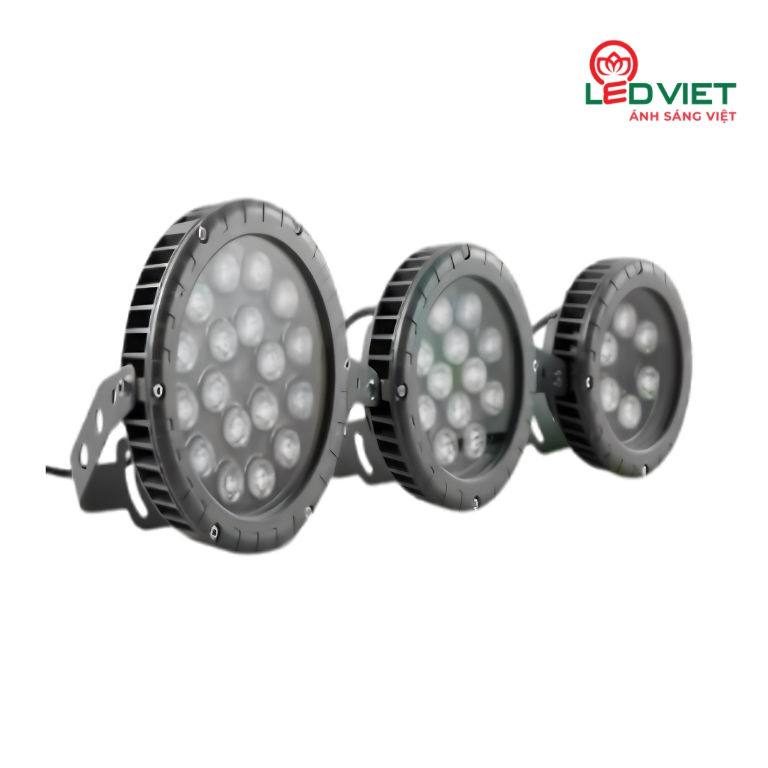 Đèn chiếu cây 2 lớp