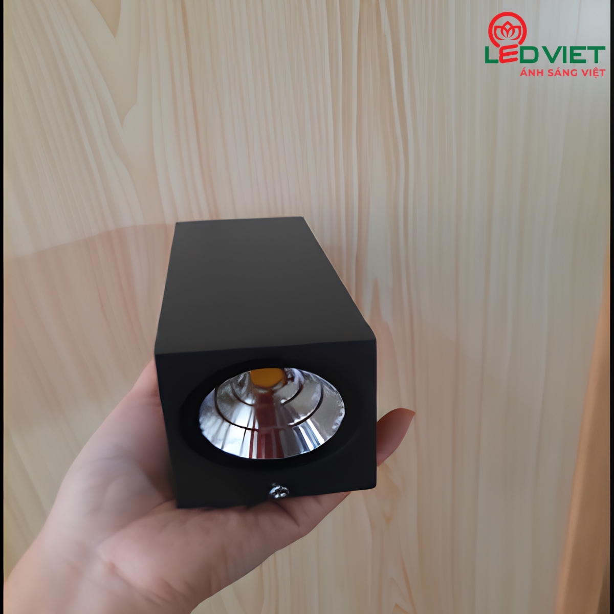 Đèn tường ngoài trời LV-TT10-10W