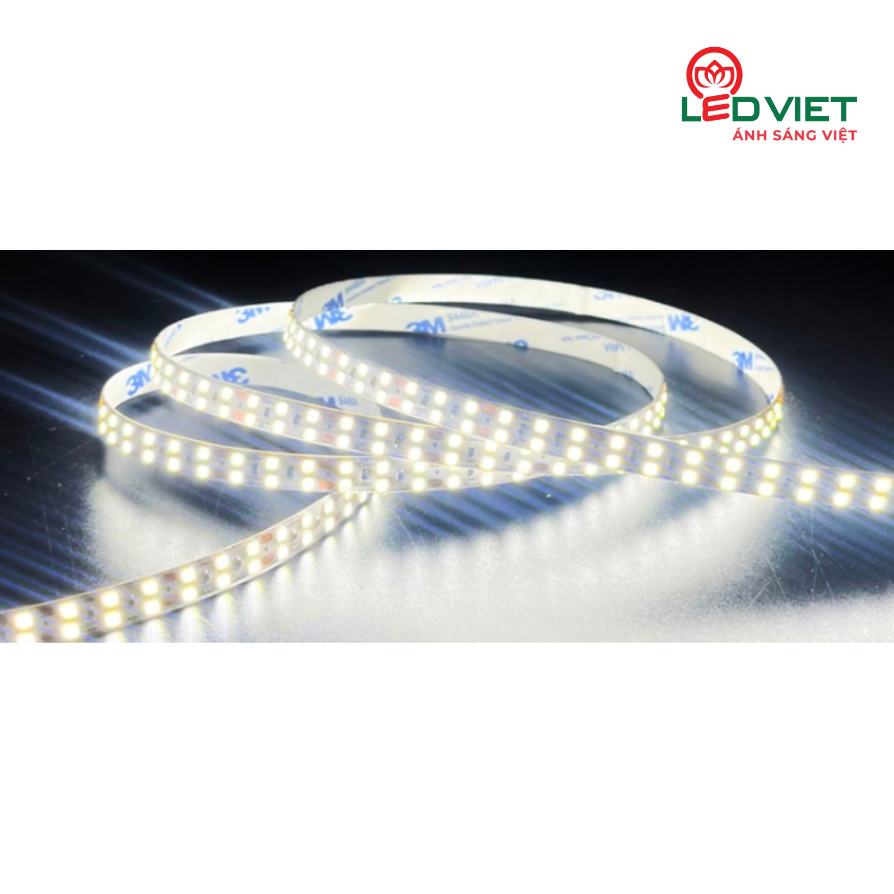 Đèn LED dán cao cấp 24V LDCC-240D/2-24V