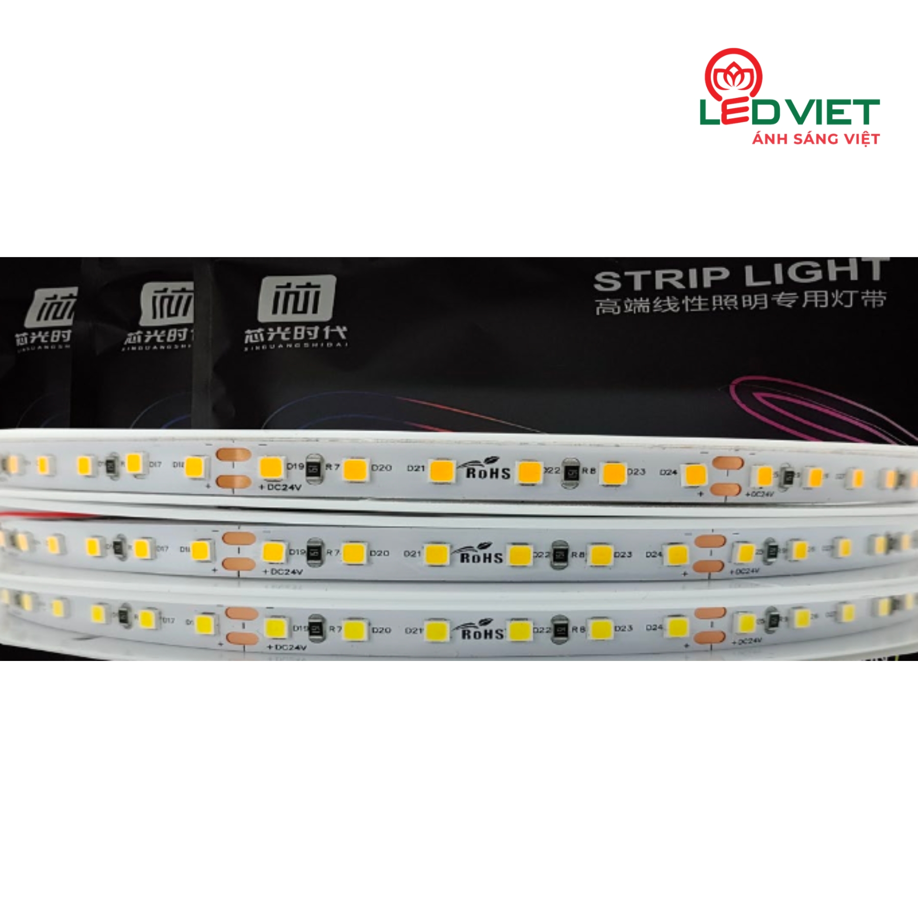 Đèn LED dán cao cấp LDCC 24V