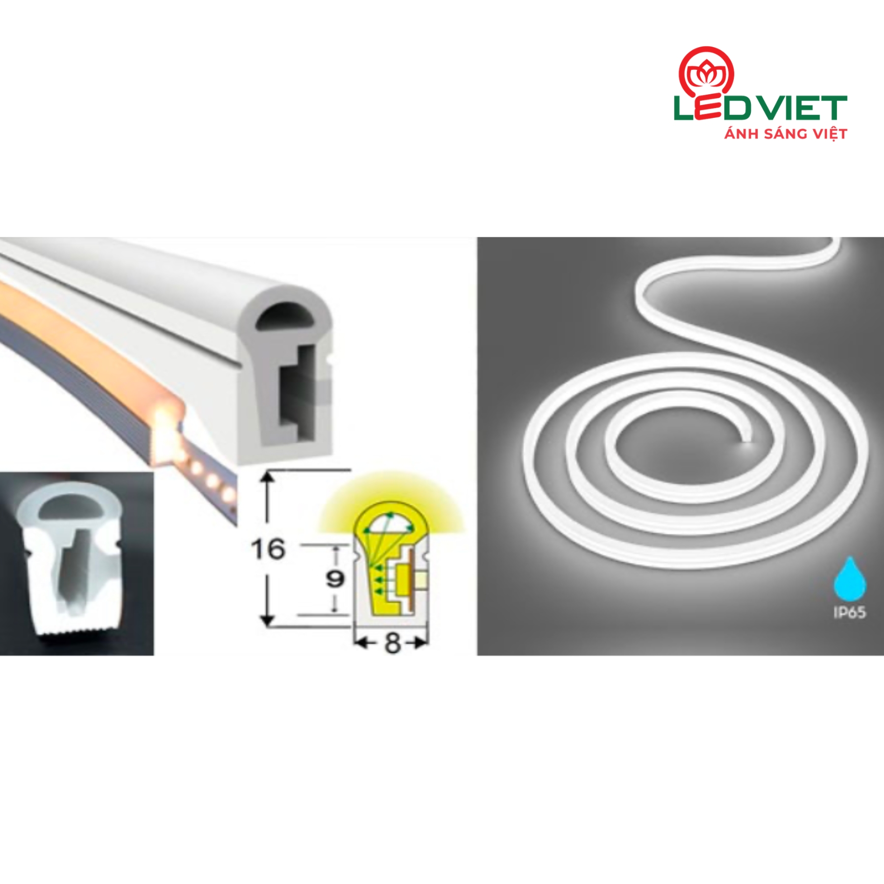 Đèn LED LNEON220V-6K-816