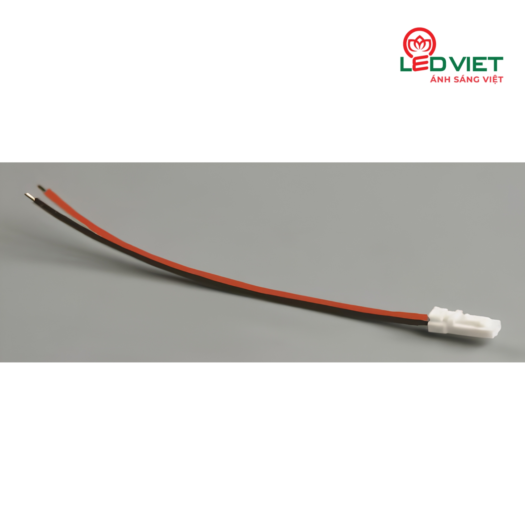 Giắc cắm LED và nguồn điều khiển tập trung NL2PNTT