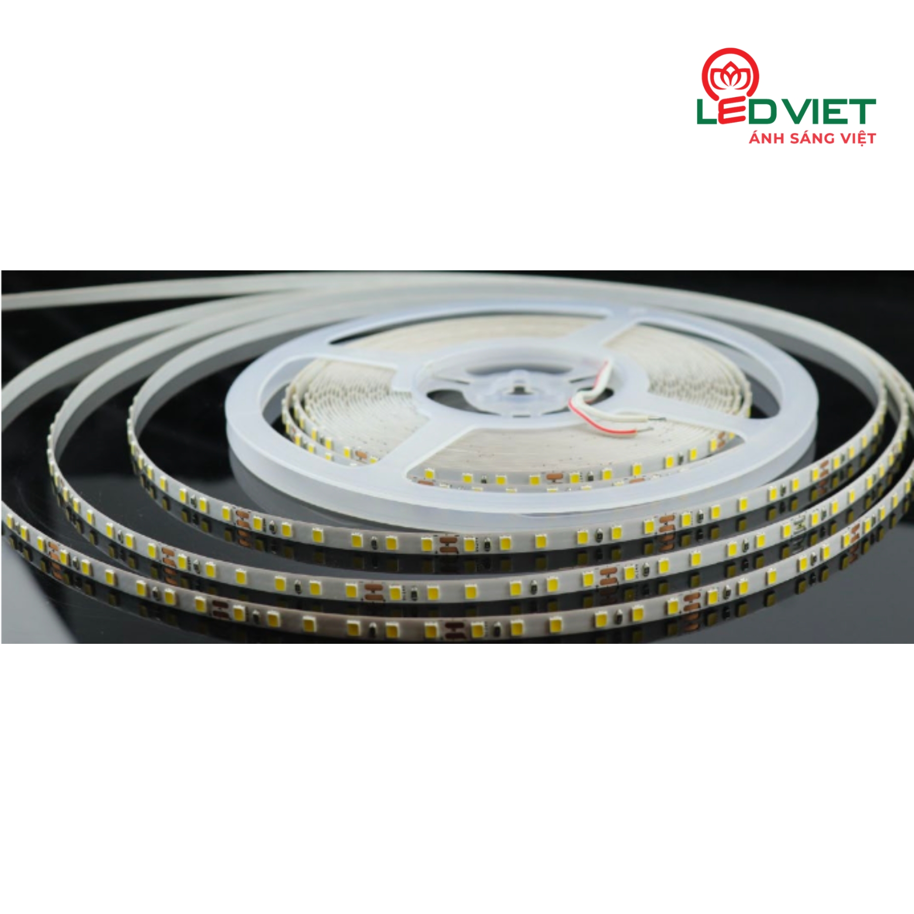 Led dán 5mm 12V LD5mm-120D-12V