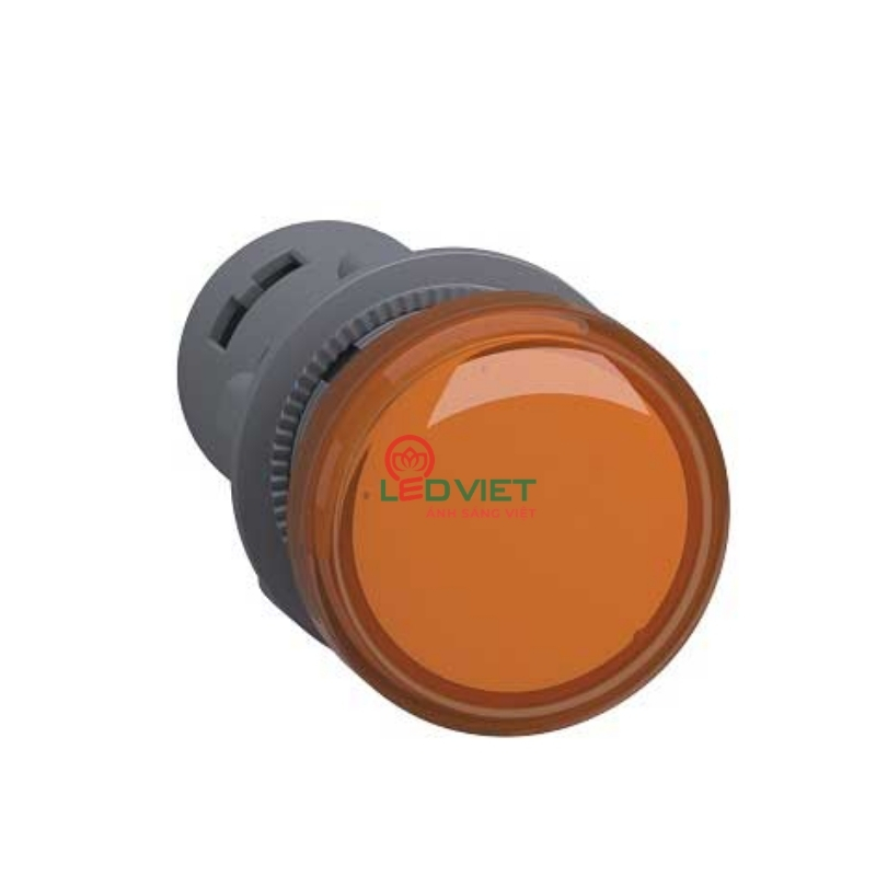 Đèn báo Ø22 Schneider XA2EVB5LC