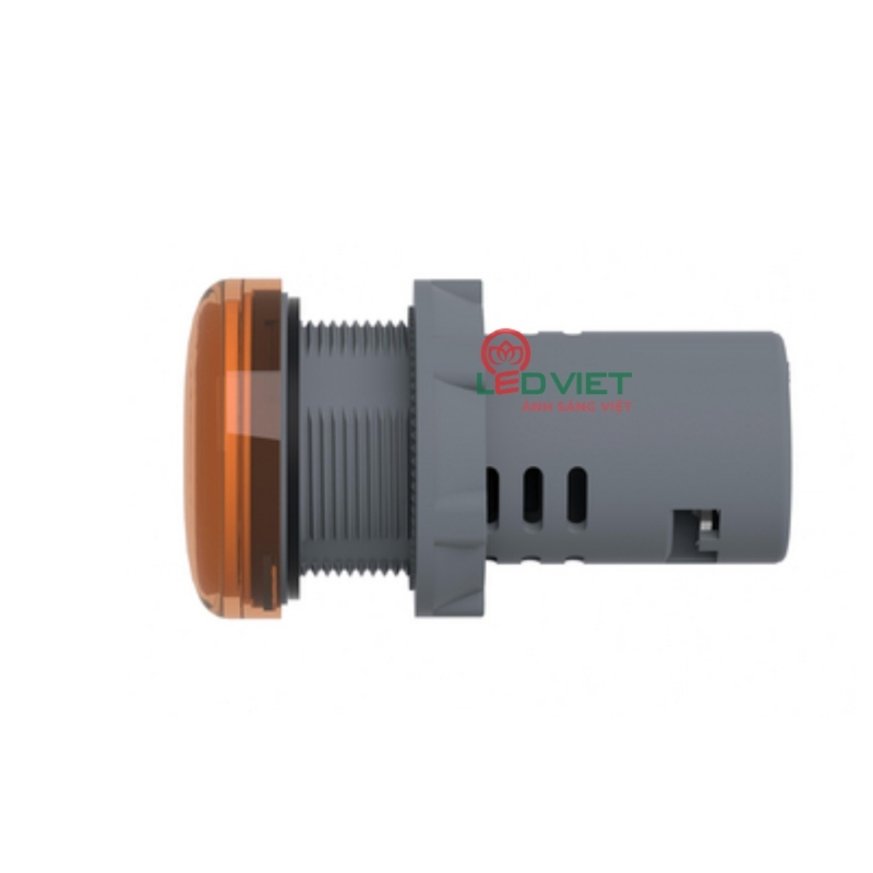 Đèn báo Ø22 Schneider XA2EVF5LC