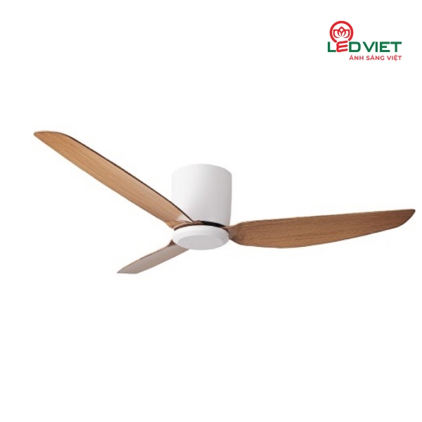 Quạt trần và đèn chùm