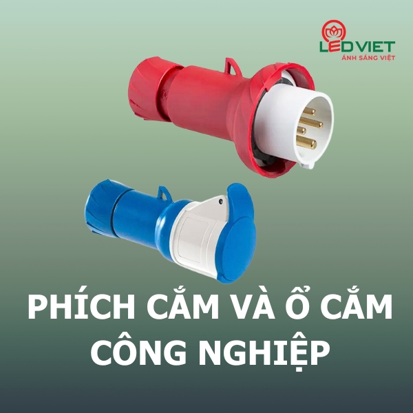 Phích cắm và ổ cắm công nghiệp Schneider PK