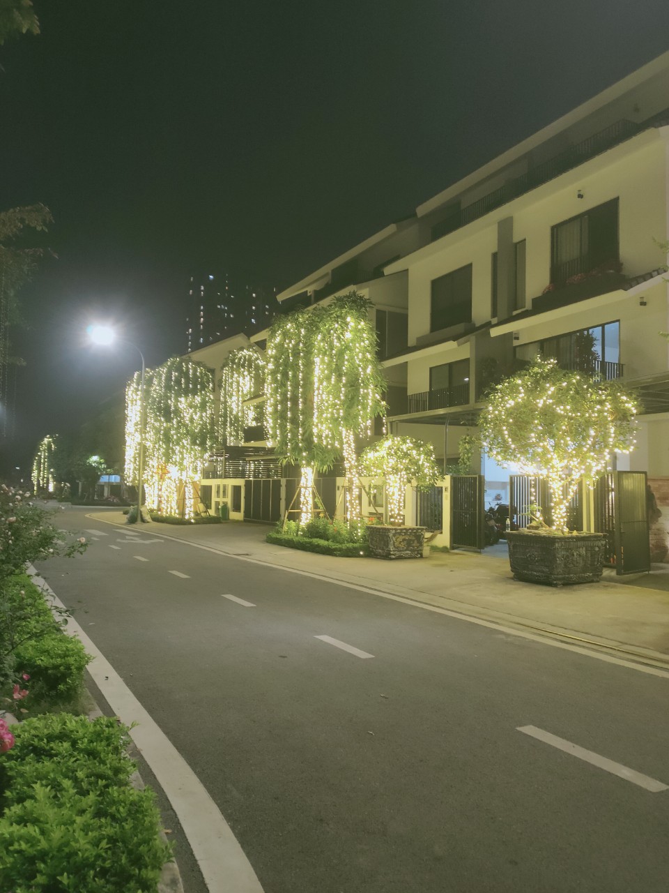 Lắp Đèn Trang Trí Cây Xanh Ngoài Trời Gía Rẻ