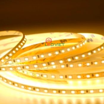 Led dán 2700K 120led 24V LD27K-AN-8mm-120D-24V- 10m