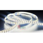 Led dán Cao cấp 240led 24V LDCC-AN-240D/2-24V -10m