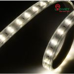Đèn LED dây OSRAM LDHV 120D 12W
