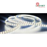Đèn LED dán cao cấp 24V LDCC-240D/2-24V