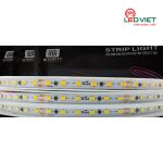 Đèn LED dán cao cấp LDCC 24V