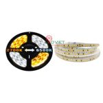 Led dán Thông minh đổi màu LDTM-AN-192D-24V-10m
