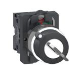 Công tắc xoay có khóa Ø22 Schneider XA2AG63