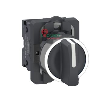 Công tắc xoay Ø22 Schneider XA2AD53