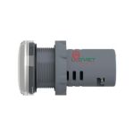 Đèn báo Ø22 Schneider XA2EVF1LC