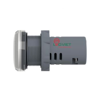 Đèn báo Ø22 Schneider XA2EVF1LC