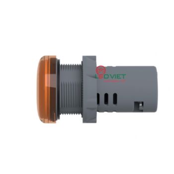 Đèn báo Ø22 Schneider XA2EVF5LC