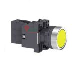 Nút nhấn có đèn báo Ø22 24 V AC/DC XA2AW35B1