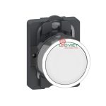 Nút nhấn nhả Ø22 Schneider XA2AA11
