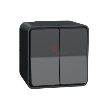 Bộ công tắc đôi 2 chiều 10AX Mureva MUR35022