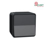 Bộ công tắc đôi 2 chiều 10AX MUR35022