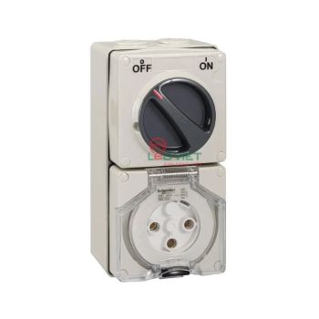 Ổ cắm có công tắc Schneider 13A 3P 250V S56C313GY
