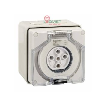 Ổ cắm Schneider 20A 5P 500V S56SO520GY