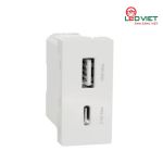 Ổ cắm USB 2 cổng A+C size S M3TS_USB2_WE