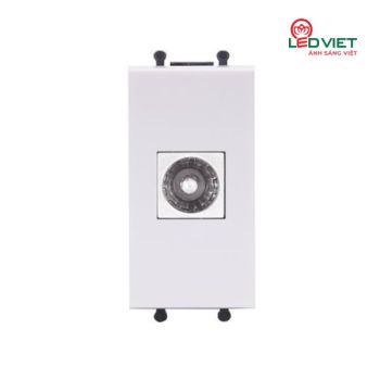 Ổ cắm tivi Q120B-TV