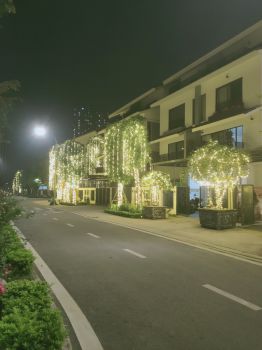 Lắp Đèn Trang Trí Cây Xanh Ngoài Trời Gía Rẻ