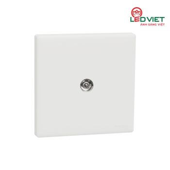 Ổ cắn angten TV KBN31TV_WE